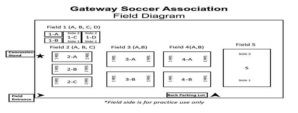 Field Layout